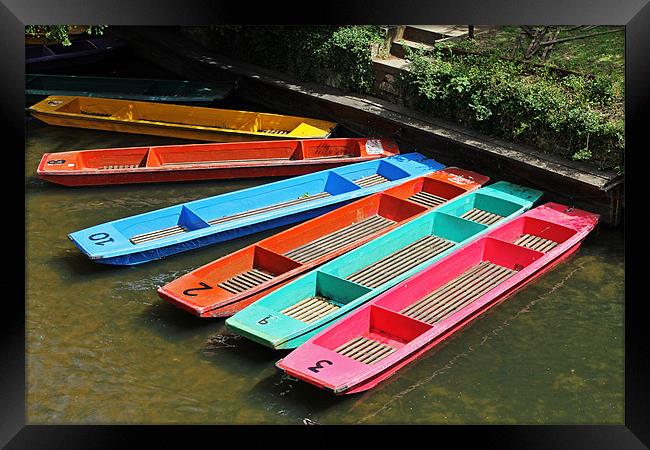 Colourful punts Framed Print by Tony Murtagh