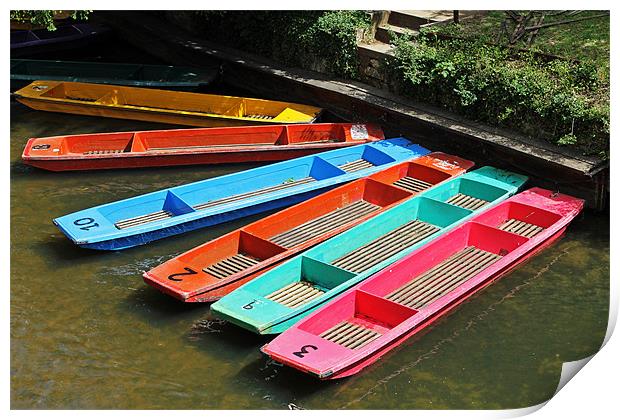 Colourful punts Print by Tony Murtagh