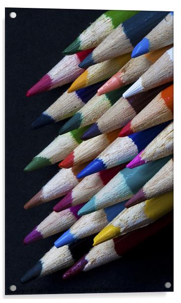 Coloured Pencils Acrylic by Zoe Ferrie
