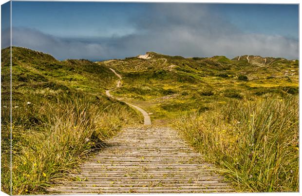 Braunton Burrows Canvas Print by Dave Wilkinson North Devon Ph