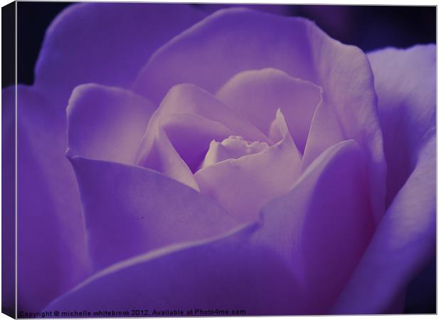 Romantic Purple Rose Canvas Print by michelle whitebrook