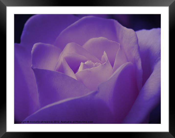 Romantic Purple Rose Framed Mounted Print by michelle whitebrook
