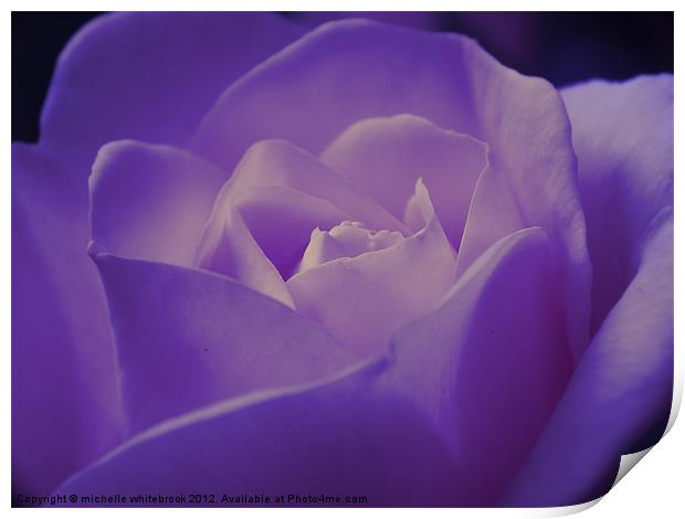 Romantic Purple Rose Print by michelle whitebrook