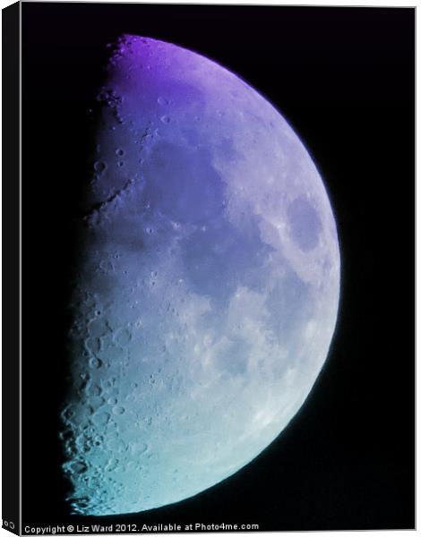 Once in a Blue Moon Canvas Print by Liz Ward