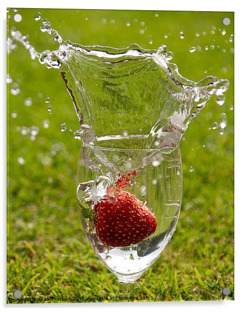 Strawberry Splash Acrylic by Keith Thorburn EFIAP/b