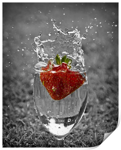 Strawberry splash Print by Keith Thorburn EFIAP/b