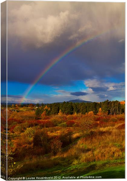 Rainbow over Rithets Bog, Victoria Canvas Print by Louise Heusinkveld