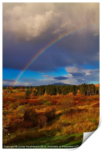 Rainbow over Rithets Bog, Victoria Print by Louise Heusinkveld