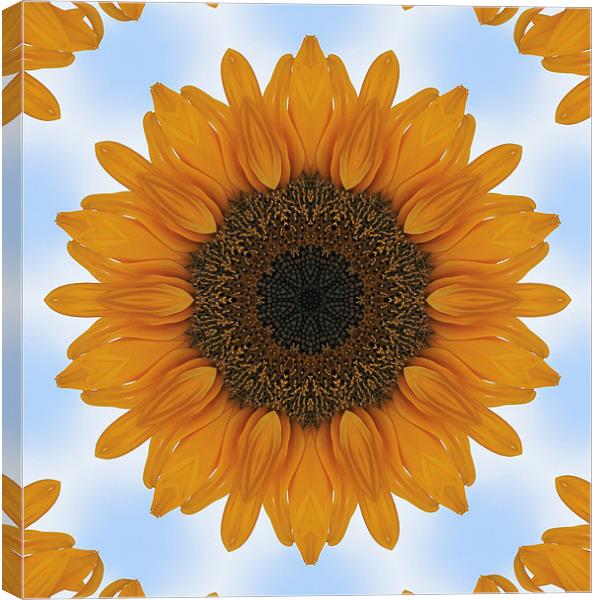 Kaleidoscope Sunflower Canvas Print by Julie Ormiston