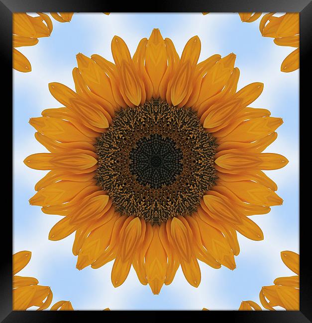 Kaleidoscope Sunflower Framed Print by Julie Ormiston