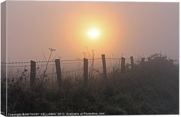 Sunset in the fog at Winchester Hill Canvas Print by Anthony Kellaway