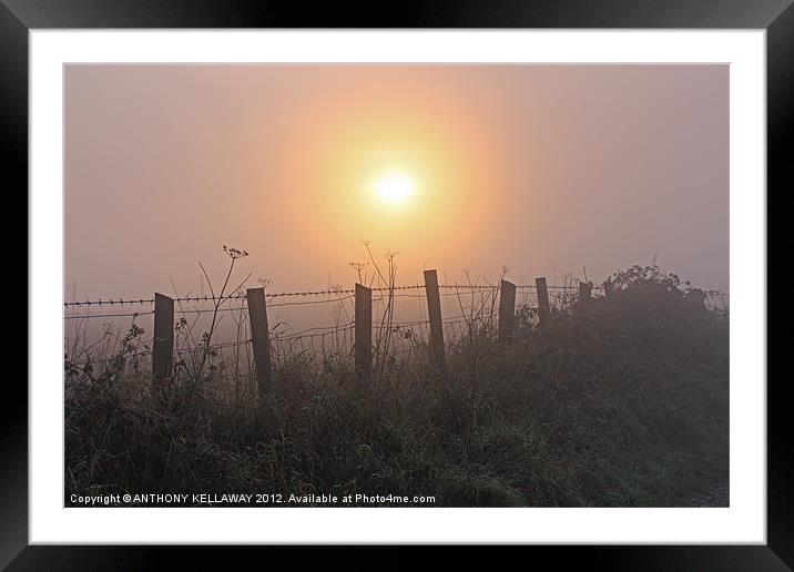 Sunset in the fog at Winchester Hill Framed Mounted Print by Anthony Kellaway