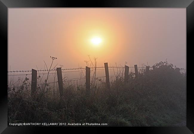 Sunset in the fog at Winchester Hill Framed Print by Anthony Kellaway