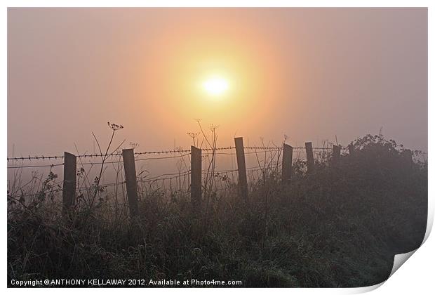 Sunset in the fog at Winchester Hill Print by Anthony Kellaway