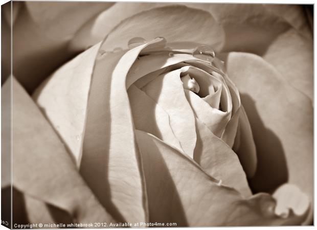 Sepia Rose Canvas Print by michelle whitebrook