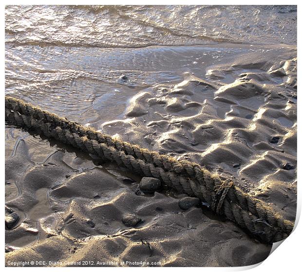 Rope across wet rivulets of sand. Print by DEE- Diana Cosford