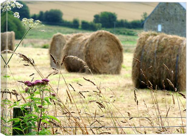 Fence And Hay Bales Canvas Print by Noreen Linale