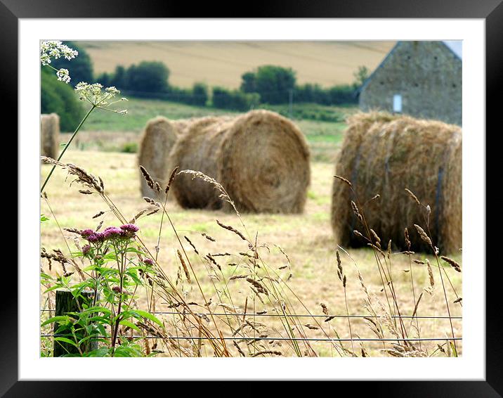 Fence And Hay Bales Framed Mounted Print by Noreen Linale