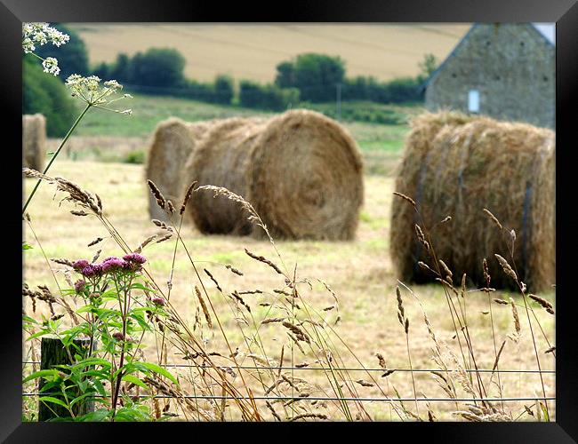 Fence And Hay Bales Framed Print by Noreen Linale