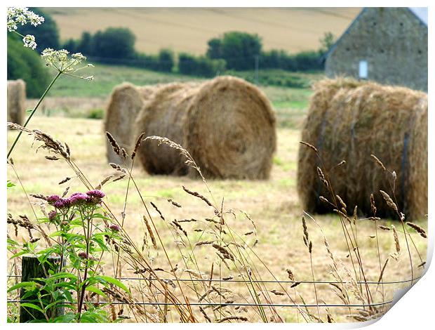 Fence And Hay Bales Print by Noreen Linale