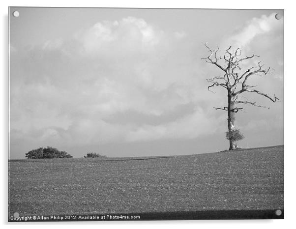 Dead Tree Bolney A272 Acrylic by Allan Philip
