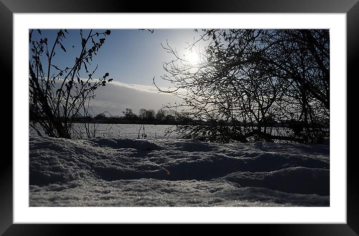 Winter sun Framed Mounted Print by Chris Barker