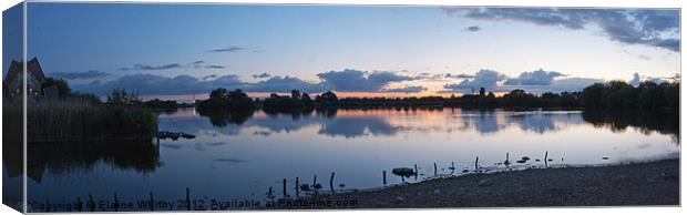 Attenborough Nature Reserve Canvas Print by Elaine Whitby