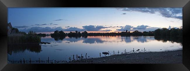 Attenborough Nature Reserve Framed Print by Elaine Whitby