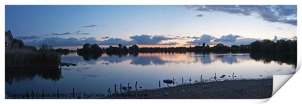 Attenborough Nature Reserve Print by Elaine Whitby