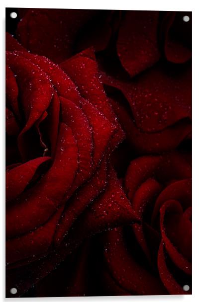 Red Velvet Tears Acrylic by Ann Garrett