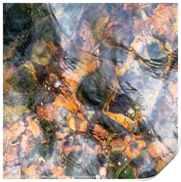 Warmth of water Print by DEE- Diana Cosford
