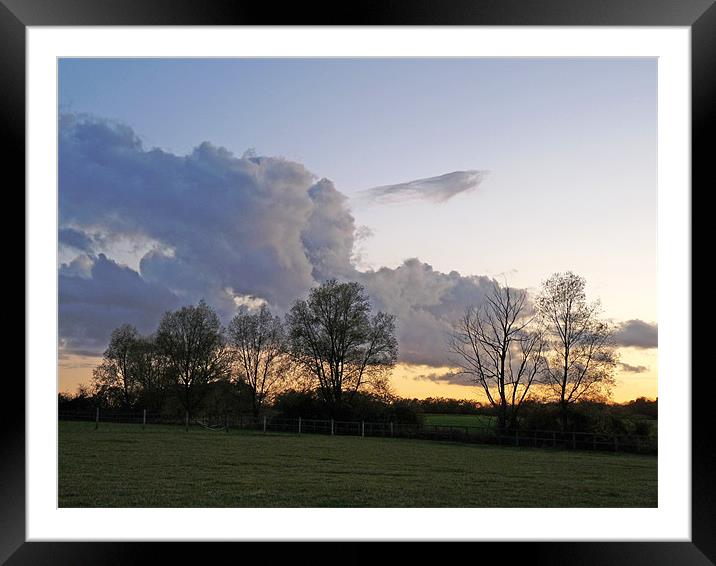 Across The Fields At Sunset Framed Mounted Print by Noreen Linale