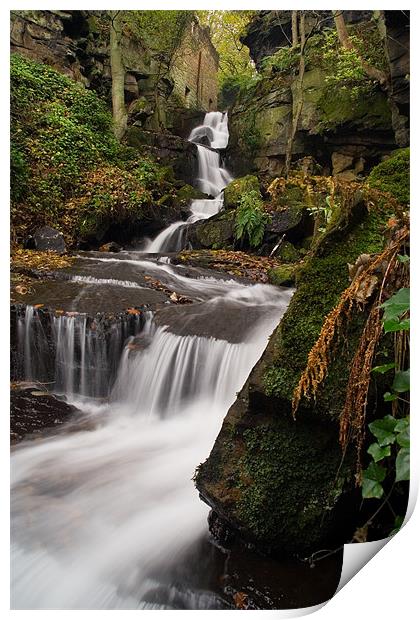 Lumsdale Valley Falls Print by Wayne Molyneux