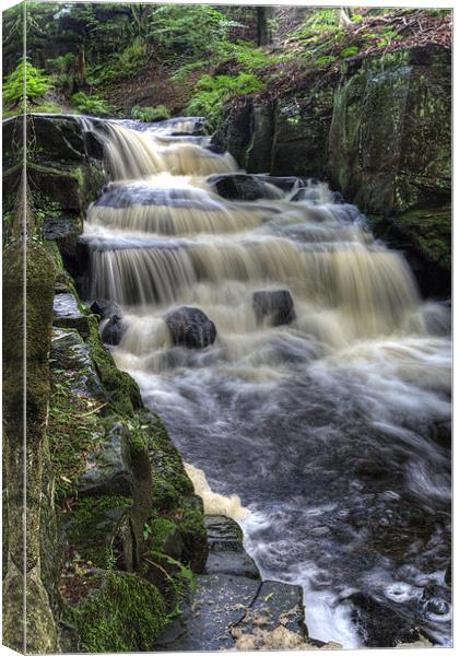 Lumsdale Valley Falls Canvas Print by Wayne Molyneux