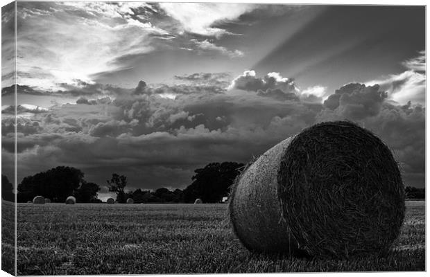 Harvest time Canvas Print by Paul Holman Photography