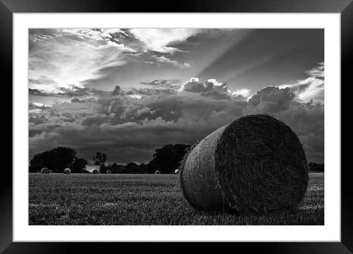 Harvest time Framed Mounted Print by Paul Holman Photography