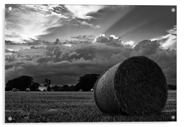 Harvest time Acrylic by Paul Holman Photography