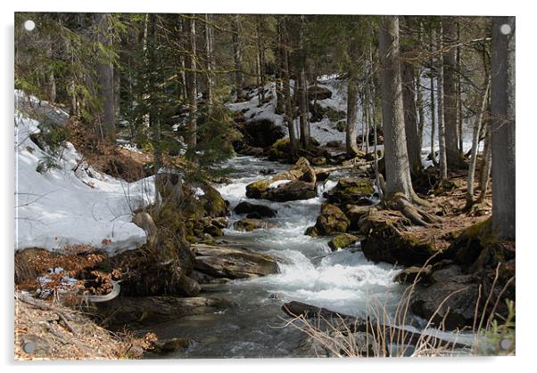 Cascade de Moriond Acrylic by Nigel Matthews