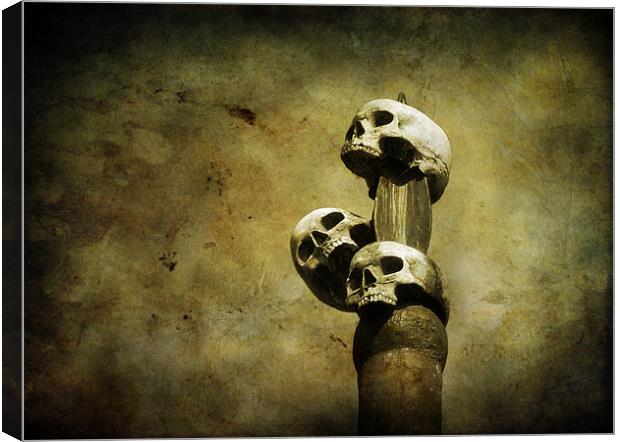3 skulls Canvas Print by Heather Newton