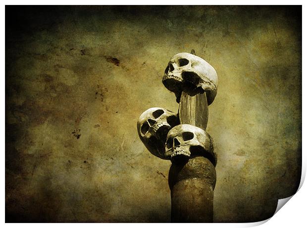 3 skulls Print by Heather Newton