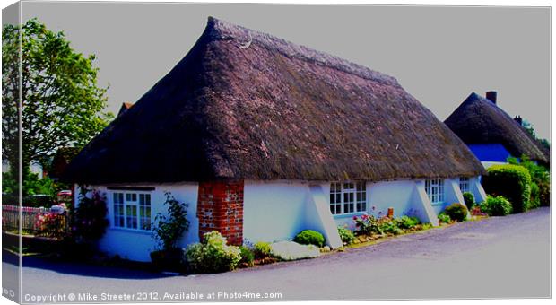 Dorset Thatch Canvas Print by Mike Streeter