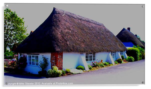 Dorset Thatch Acrylic by Mike Streeter
