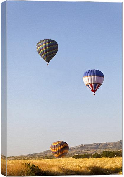 Hot air balloons rising Canvas Print by Arfabita  