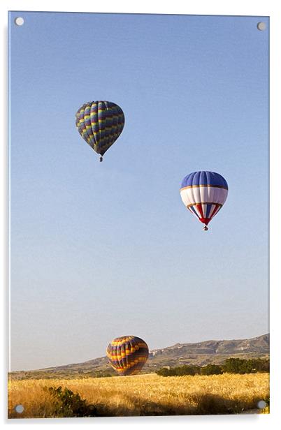 Hot air balloons rising Acrylic by Arfabita  