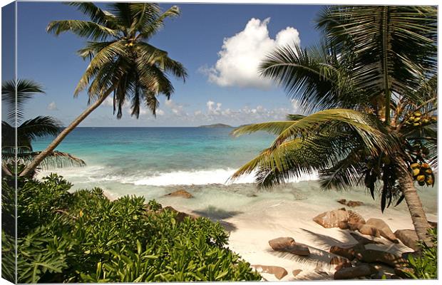 Anse Patates, Seychelles Canvas Print by peter schickert