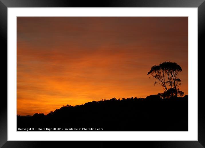 African Sunset Framed Mounted Print by Richard Bignell