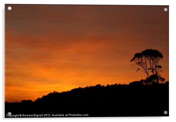 African Sunset Acrylic by Richard Bignell