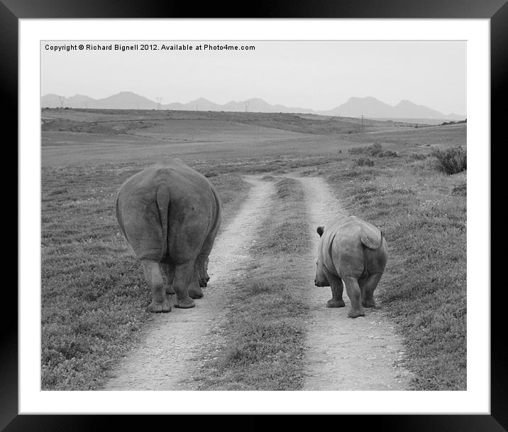 Heading Home Framed Mounted Print by Richard Bignell