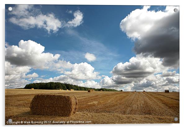 An English Harvest Acrylic by Mark Bunning