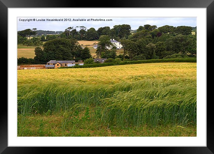 Devon Wheat Field Framed Mounted Print by Louise Heusinkveld